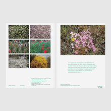 Carregar imagem no visualizador da galeria, Terra Mineral - Terra Vegetal