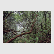 Carregar imagem no visualizador da galeria, Terra Mineral - Terra Vegetal