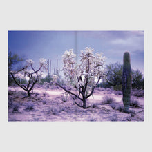 Carregar imagem no visualizador da galeria, Atlas Suzanne Daveau