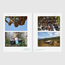 Carregar imagem no visualizador da galeria, Pack Trilogia Portugal 15-5-20