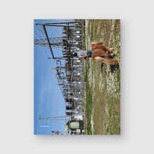 Carregar imagem no visualizador da galeria, Paisagens transgénicas